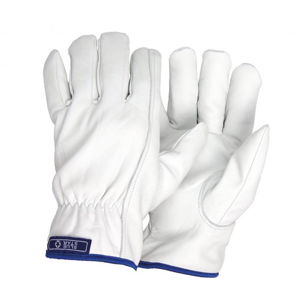 BlueStar Driver Lux