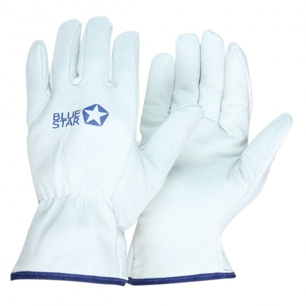BlueStar Soft Tech
