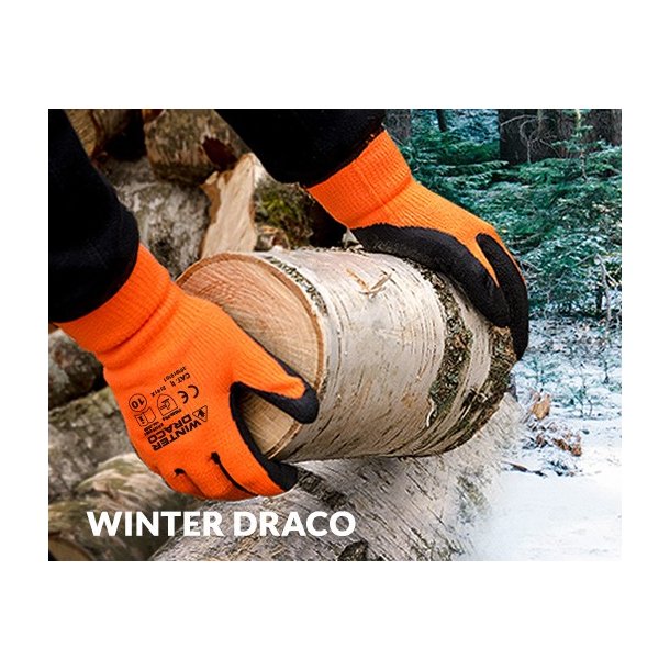 Worklink Winter Draco